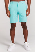 Load image into Gallery viewer, Redvanly 9" Hanover Short